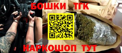 индика Новозыбков
