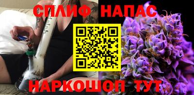 индика Новозыбков