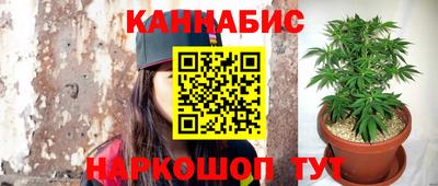 индика Новозыбков