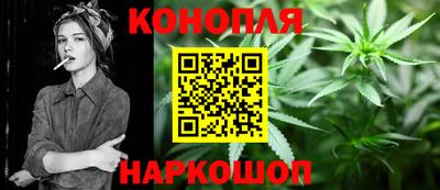 индика Новозыбков