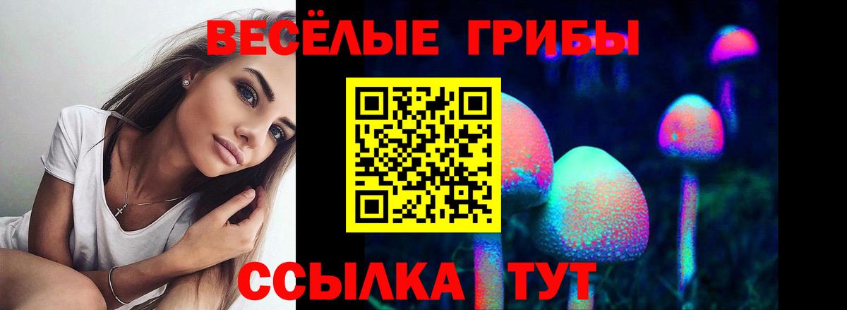 Славянск-на-Кубани  как найти наркотики  Вход с VPN  Псилоцибиновые грибы мухоморы 